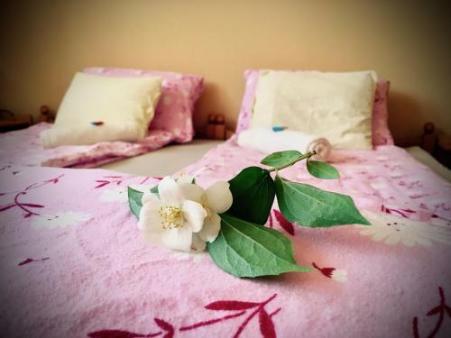 Napospatak Apartmanh�z
