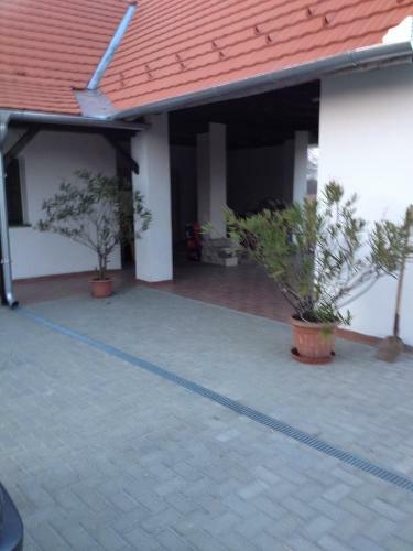 Apartamento J�zmin Vend�gh�z