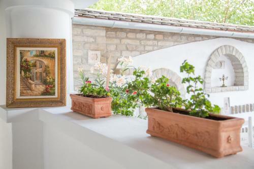Hotel Provence Birtok