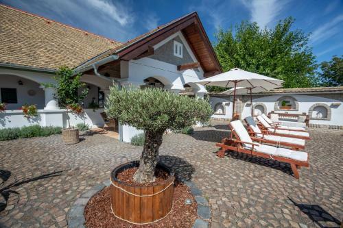 Hotel Provence Birtok