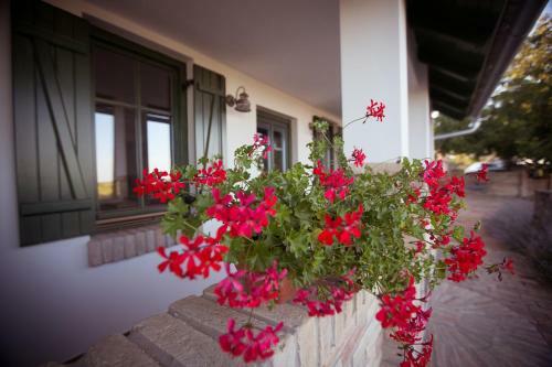 Hotel Provence Birtok