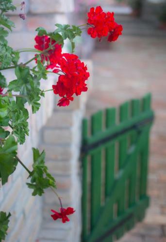 Hotel Provence Birtok
