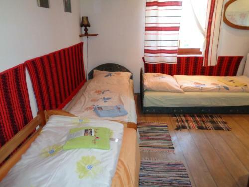 Petra Vend�gh�z