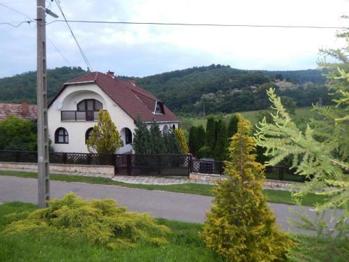 Bolt�ves Vend�gh�z