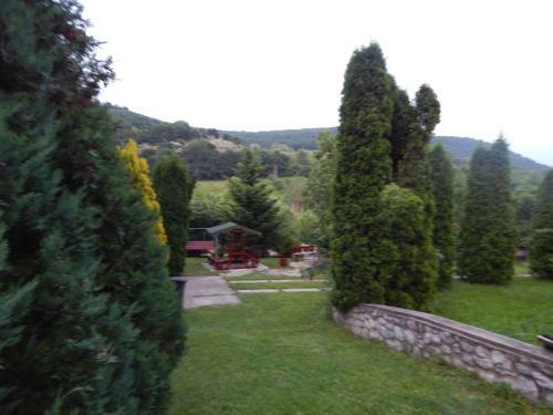 Bolt�ves Vend�gh�z