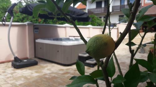 Hostal Csillag Panzi�