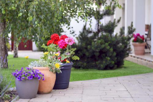 Hostal J�szber�ny Boutique Room