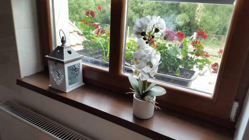 Apartamento T�berke Vend�gh�z