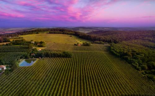 Bed & Breakfast Ebner Pince - Panzi�