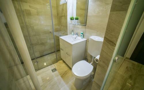 Budapest Downtown Apartments