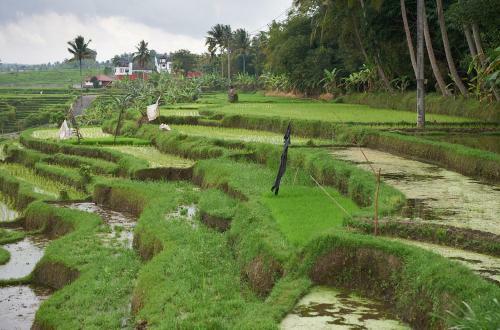 Hostal Balam Bali Villa