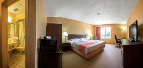 Hotel Motel 6 Trenton On