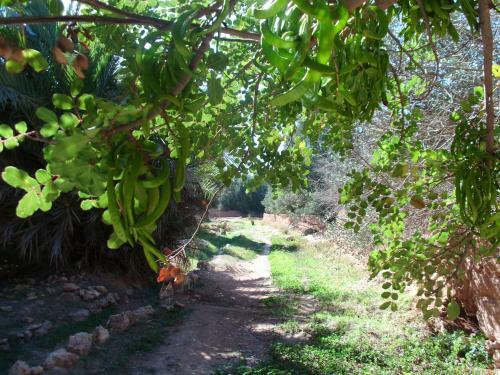 Posada Gite Kasbah Tiznit