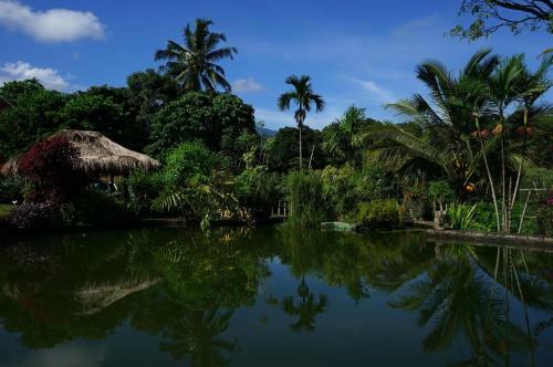 Hotel Rinjani Mountain Garden