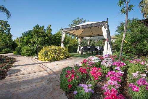 Hotel Song Of Galilee