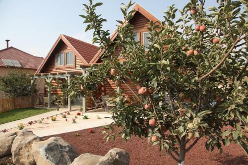 Lodge Be-taam Ahava Suites