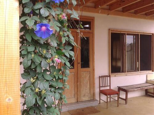 Hostal Clil Guest House