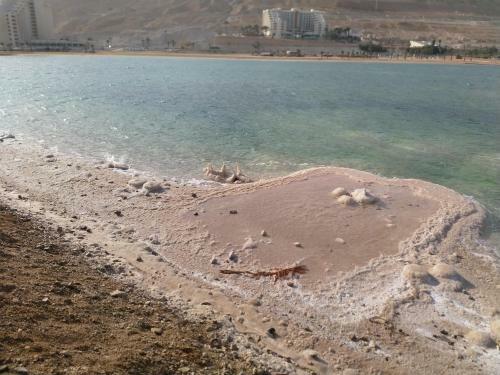 Lodge Carmit's Dead Sea Place