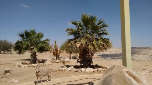 Lodge Shoshanat Hamidbar
