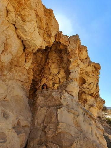 Lodge Shoshanat Hamidbar