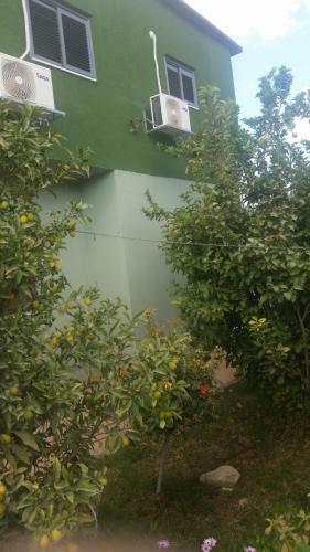 The Green Guest House