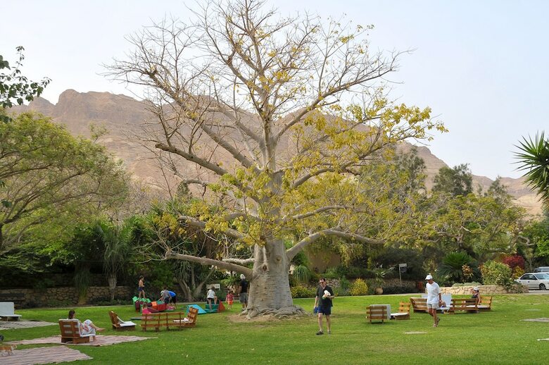 Ein Gedi Kibbutz Hotel