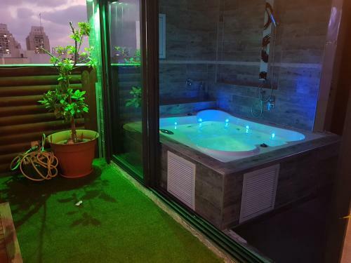 Penthouse In The City