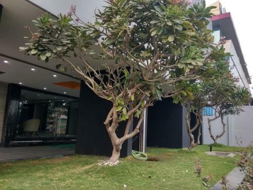 Hotel Jk Rooms 121 Shaheen Int.-nr. Mahindra Co.-midc