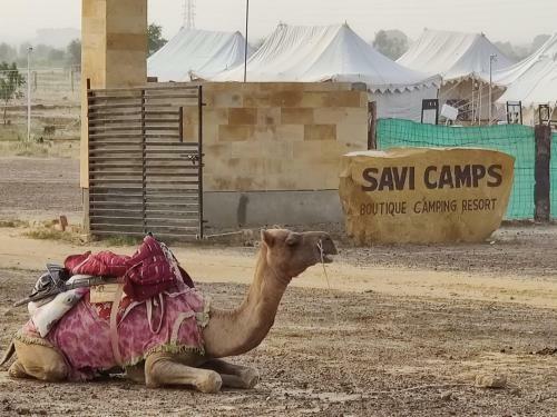 Savi Camps Jaisalmer