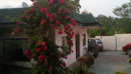 Posada Van Durga Villas & Suites