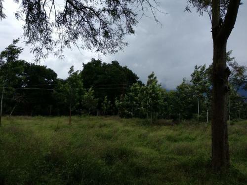 Hotel Singaras Coffee Country