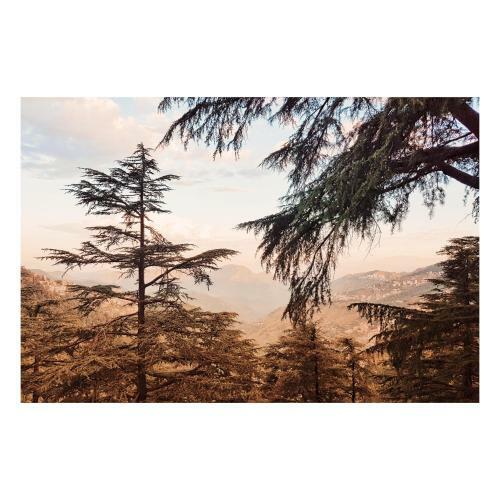 Albergue Thira Shimla