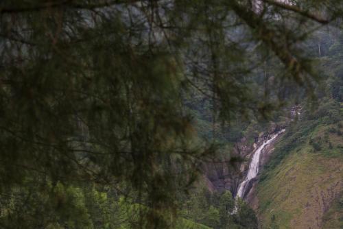 Hotel Mount Valley Resort - A Secluded Getaway