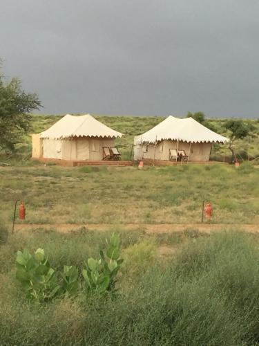 Hotel Golden Dune Camp