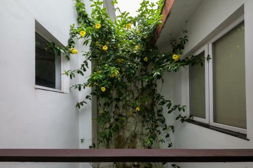 Villa El Greco By Vista Rooms