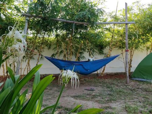 Albergue Wayfarers Hampi