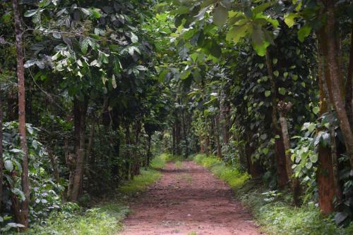 Agroturismo Tri Woods Plantation Farm Stay