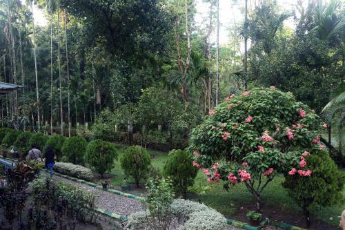 Hotel Aranya Resorts