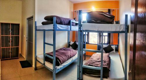 Albergue The Bunker Bir