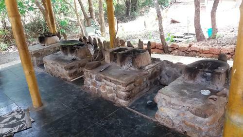 Nagesh Jungle Resort, South Goa