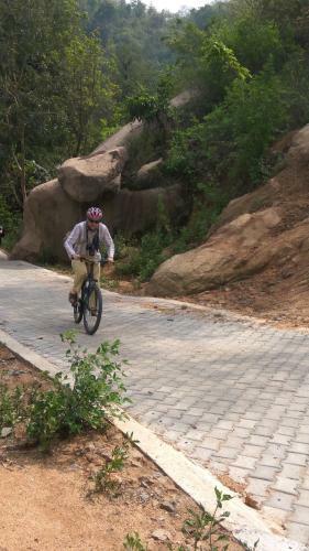 Bed & Breakfast Pobitora Eco Camp