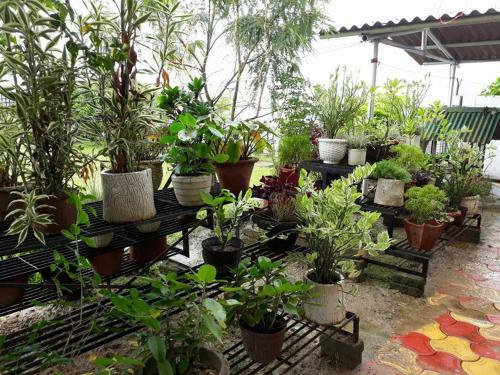 Hostal Villa Shivalay