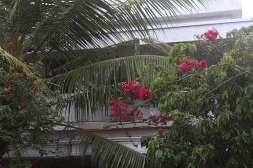 Bekal Fort Homestay