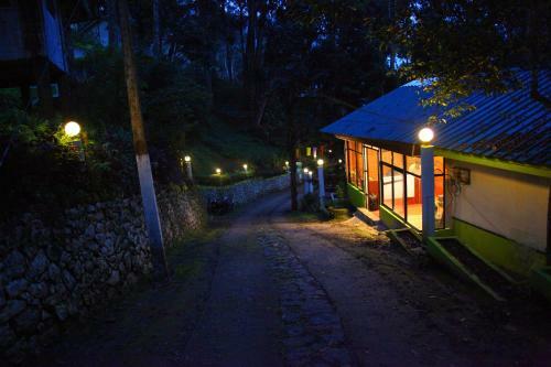 Hotel Single Tree Resort