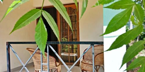 Hotel Single Tree Resort