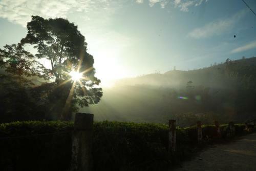 Hotel Casa Montana Munnar