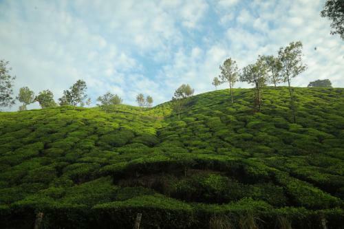 Hotel Casa Montana Munnar