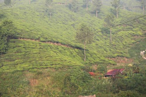 Hotel Casa Montana Munnar