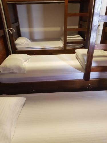 Micasa Hostels