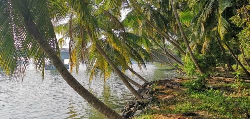 Lakeview Beach Homestay